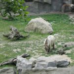 2012-Personeelsuitje-Zoo-Osnabruck