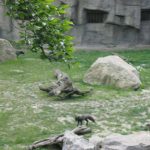 2012-Personeelsuitje-Zoo-Osnabruck