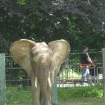 2012-Personeelsuitje-Zoo-Osnabruck