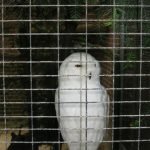 2012-Personeelsuitje-Zoo-Osnabruck