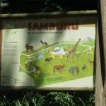 2012-Personeelsuitje-Zoo-Osnabruck