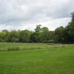 personeelsfeest_2_7_2011__111_