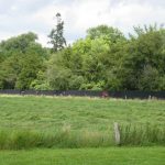 personeelsfeest_2_7_2011__112_